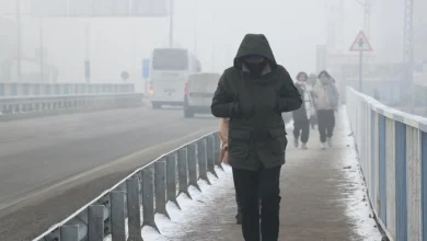 Ankara Buzlanma Ve Soğuk Hava