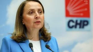 CHP Ankara Milletvekili Semra Dinçer Haberleri