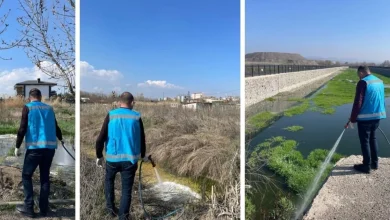 Kahramankazan'Da Bahar İlaçlaması: Haşerelere Karşı Yoğun Mücadele