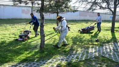 Mamak'Ta Park Ve Yeşil Alanlara Bahar Bakımı